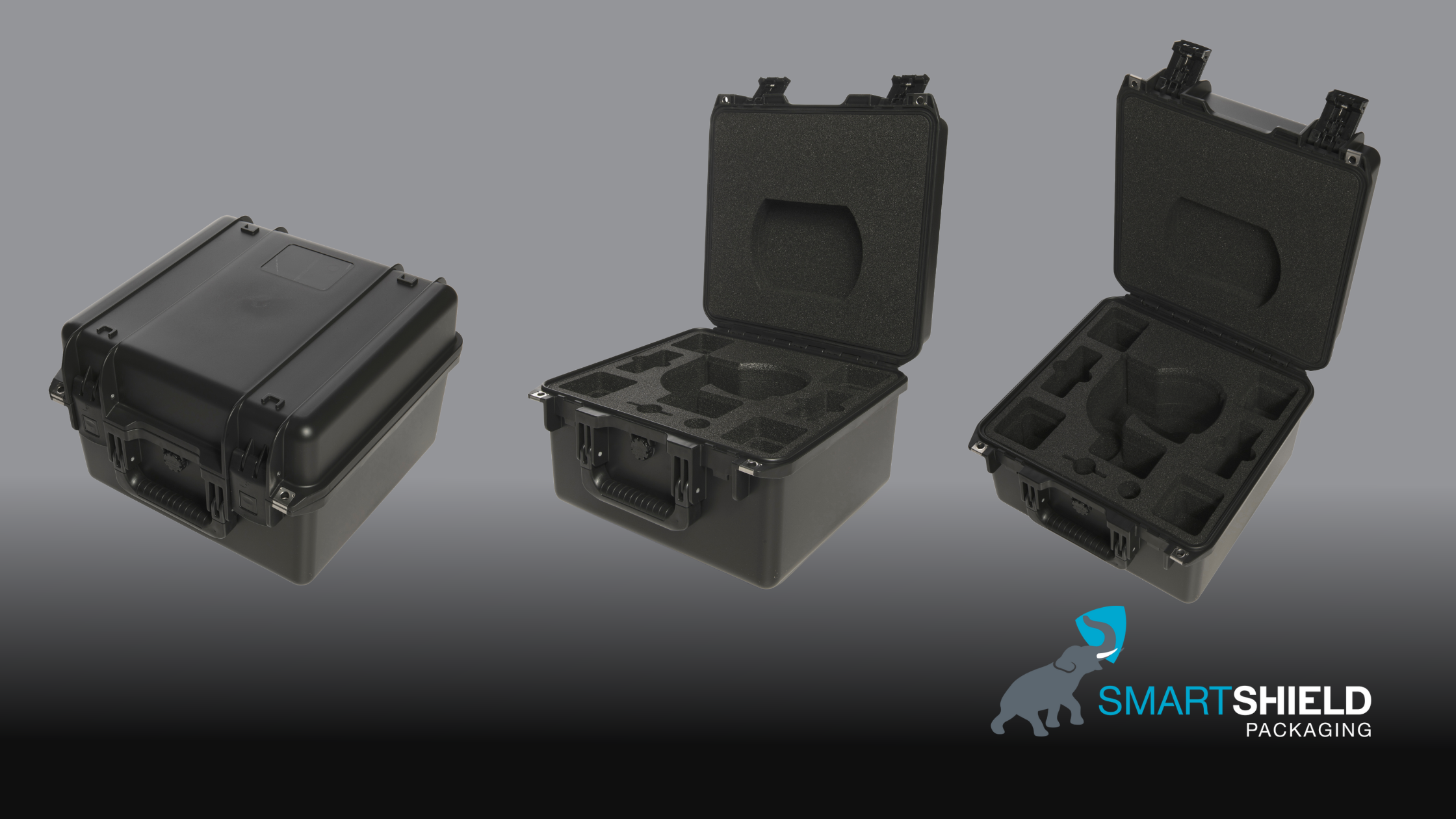 Pelican storm case - zote insert